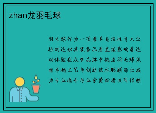 zhan龙羽毛球